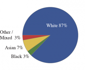 race | Lost in Transcription